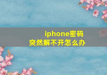 iphone密码突然解不开怎么办