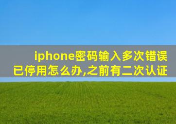 iphone密码输入多次错误已停用怎么办,之前有二次认证