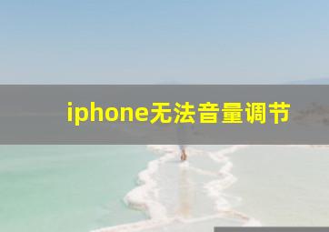 iphone无法音量调节