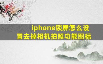 iphone锁屏怎么设置去掉相机拍照功能图标