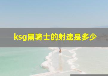 ksg黑骑士的射速是多少