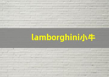 lamborghini小牛