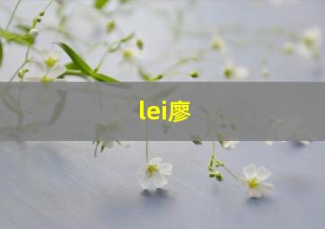 lei廖