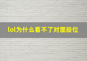 lol为什么看不了对面段位