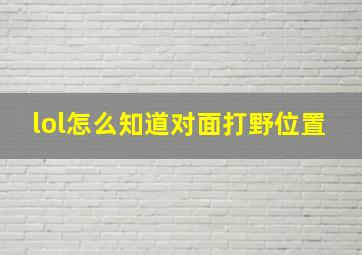 lol怎么知道对面打野位置