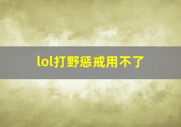 lol打野惩戒用不了