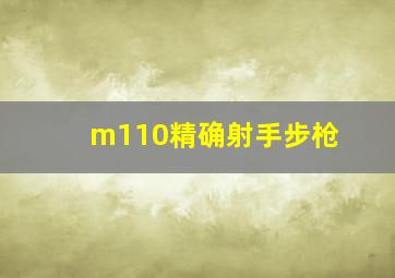 m110精确射手步枪