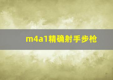 m4a1精确射手步枪