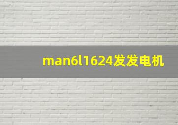 man6l1624发发电机