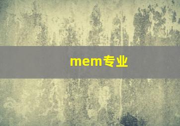 mem专业