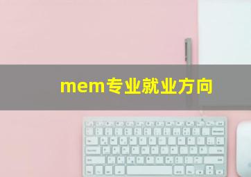 mem专业就业方向