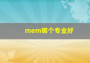 mem哪个专业好