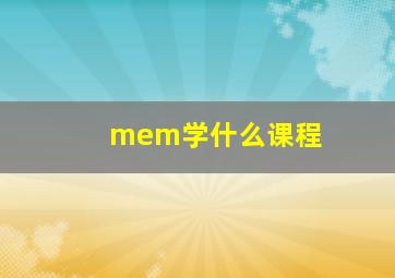 mem学什么课程