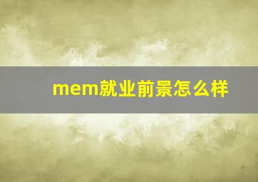 mem就业前景怎么样