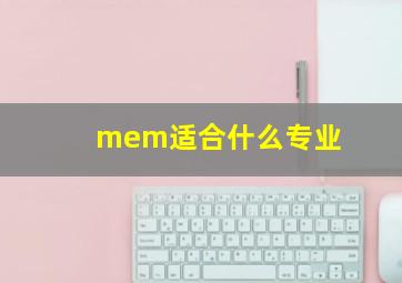 mem适合什么专业