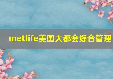 metlife美国大都会综合管理