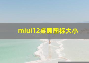 miui12桌面图标大小