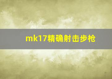 mk17精确射击步枪