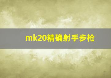 mk20精确射手步枪