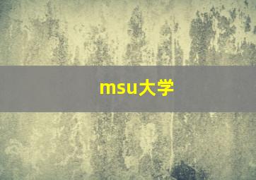 msu大学