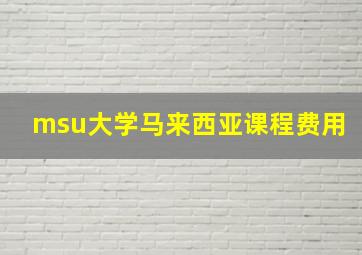 msu大学马来西亚课程费用