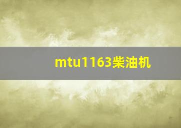 mtu1163柴油机