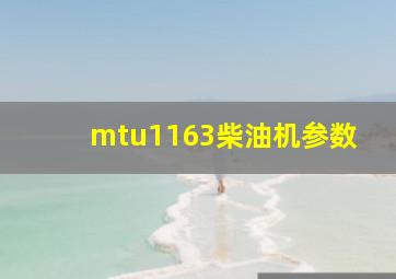 mtu1163柴油机参数