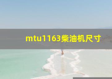 mtu1163柴油机尺寸