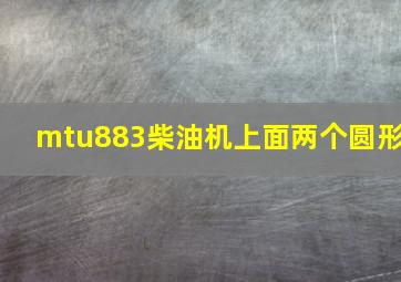 mtu883柴油机上面两个圆形