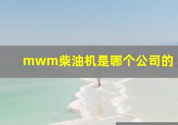 mwm柴油机是哪个公司的