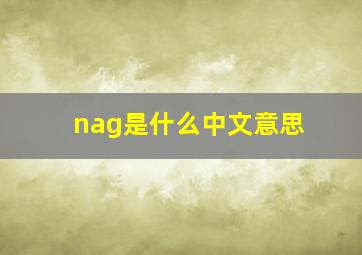 nag是什么中文意思