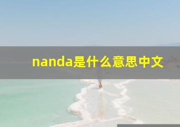 nanda是什么意思中文