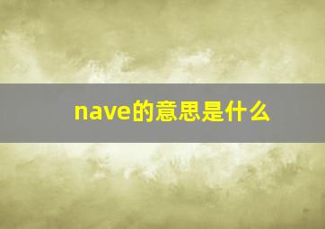 nave的意思是什么