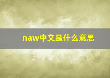 naw中文是什么意思