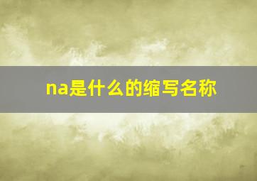 na是什么的缩写名称