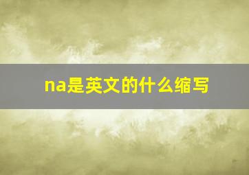 na是英文的什么缩写