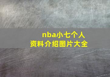 nba小七个人资料介绍图片大全