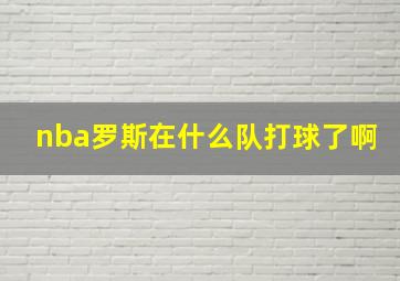 nba罗斯在什么队打球了啊