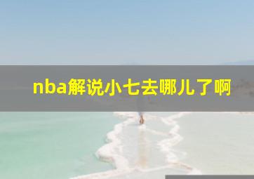 nba解说小七去哪儿了啊