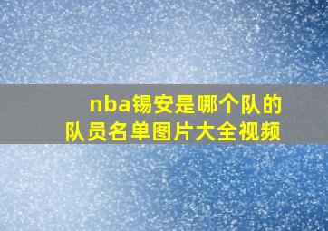 nba锡安是哪个队的队员名单图片大全视频