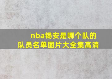 nba锡安是哪个队的队员名单图片大全集高清