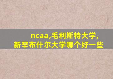 ncaa,毛利斯特大学,新罕布什尔大学哪个好一些