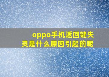 oppo手机返回键失灵是什么原因引起的呢