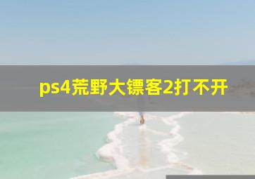 ps4荒野大镖客2打不开