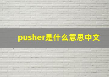 pusher是什么意思中文