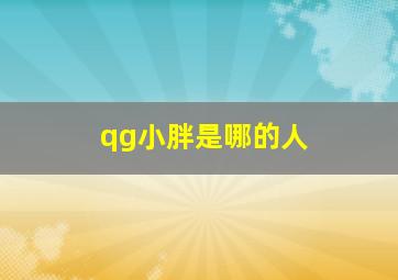 qg小胖是哪的人