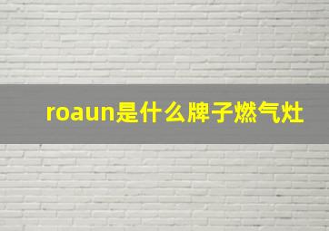 roaun是什么牌子燃气灶