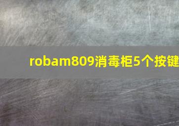 robam809消毒柜5个按键