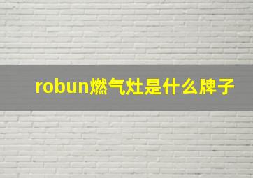 robun燃气灶是什么牌子