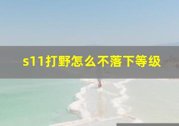 s11打野怎么不落下等级